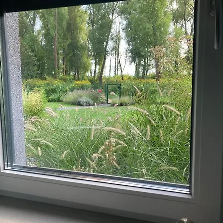 Fuzliget Mango Garden Balatonfůzfő